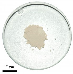 09SJ05-1